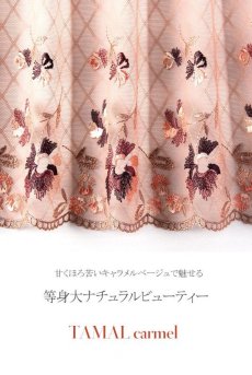 画像21: アウトレットSALE｜70D｜プランジブラジャー（パッド入り・B〜Hカップ・キャラメルモカ）[TAMAL carmel B214]輸入下着・高級ランジェリー※サイズ交換NG・クーポン対象外※ (21)