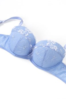 画像10: 【SALE】KAIRA-blue-B214 | グラマー向け美乳ブラ・ストラップ太め・バストサロン推奨・プランジブラ・B〜Hカップ・ブルー | ewabien エヴァビアン輸入下着・高級ランジェリー （再入荷なし） (10)