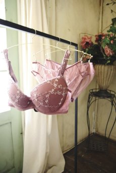 画像19: JULIA antique pink C110 |ノーマルショーツ・アンティークピンク  | ewabien エヴァビアン【サイズ交換NG】※メール便対象※輸入下着・高級ランジェリー  (19)