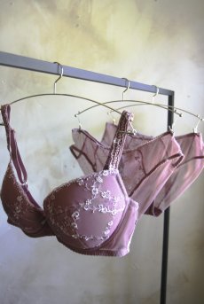 画像20: JULIA antique pink C110 |ノーマルショーツ・アンティークピンク  | ewabien エヴァビアン【サイズ交換NG】※メール便対象※輸入下着・高級ランジェリー  (20)