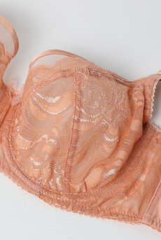 画像10: MARISA apricot B161 | フルカップ・パッドなし・ワイヤーブラ・一枚レース・大きいサイズ・B〜Jカップ・アプリコット | ewabien エヴァビアン| 輸入下着・高級ランジェリー  (10)