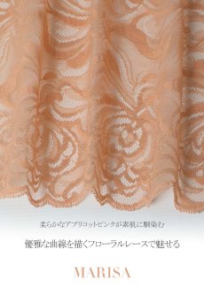 画像23: MARISA apricot C322 |ブラジリアンタンガ・アプリコット  | ewabien エヴァビアン【サイズ交換NG】※メール便対象※輸入下着・高級ランジェリー  (23)