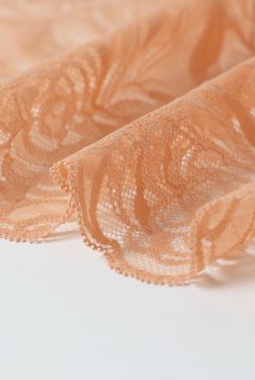 画像25: MARISA apricot C322 |ブラジリアンタンガ・アプリコット  | ewabien エヴァビアン【サイズ交換NG】※メール便対象※輸入下着・高級ランジェリー  (25)