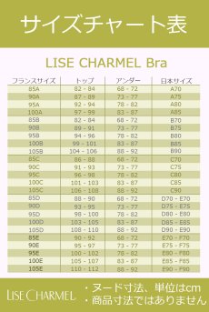 画像18: ACJ7432-EN｜Linge J32｜ハーフカップブラ シャンパン｜Lise Charmel リズシャルメル【サイズ交換NG・クーポン割引対象外】 輸入下着・高級ランジェリー  (18)