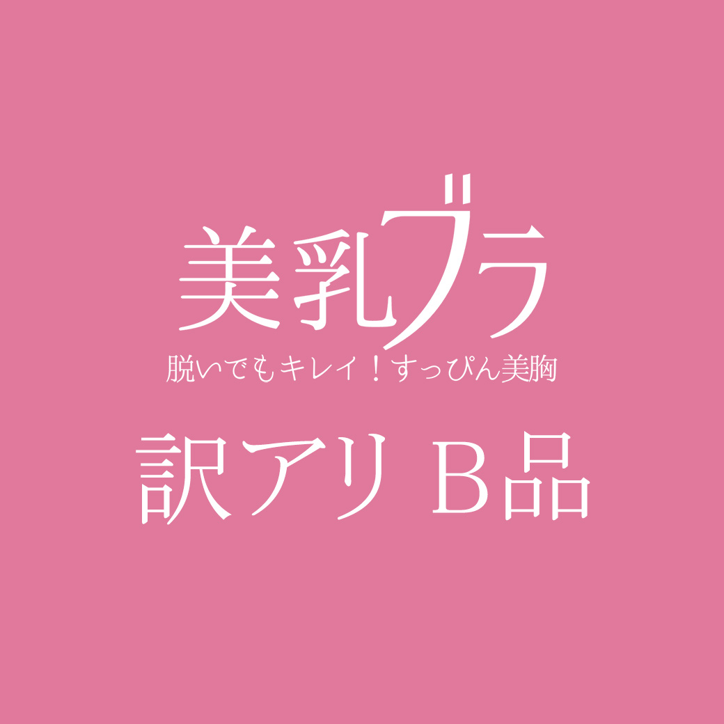 美乳シリーズ B品